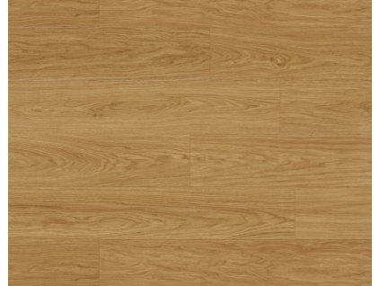 629a