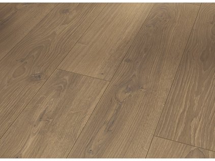 studioline medovy 2