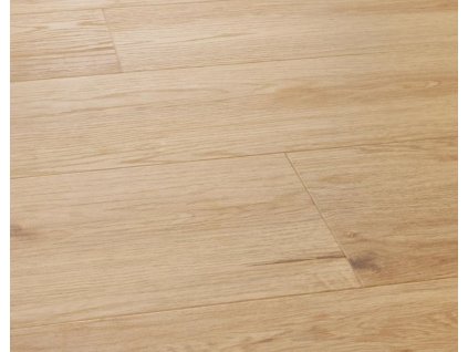 legnar acoustic dub arvada 4