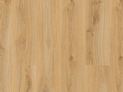 dub beige parioli 2