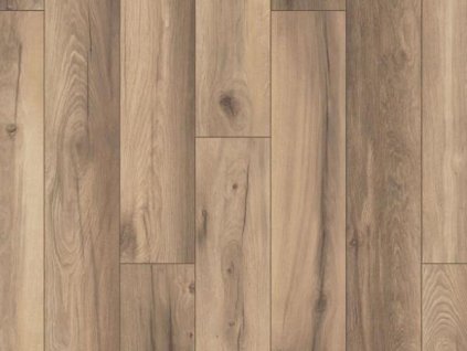 SolidStep LIVING Dub Deluxe ST16