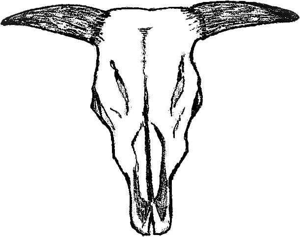 hlava