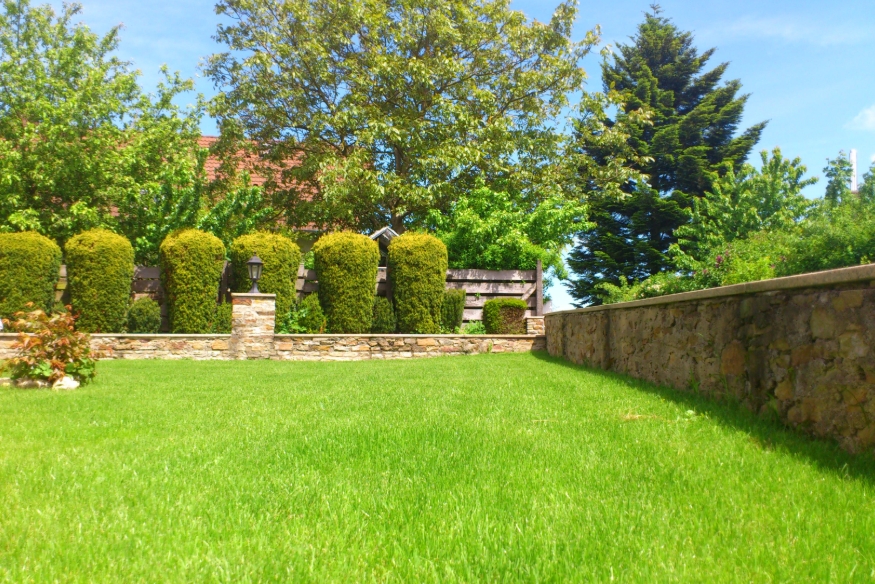 Oplatí sa investícia do robotickej kosačky?