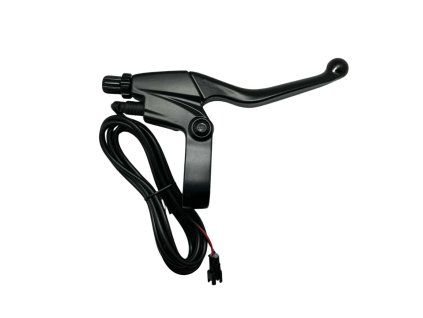 6217 prava brzdova packa engwe s6