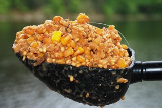 Jak připravit partikl pro ryby: Kompletní průvodce