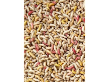 vyr 576 cervi mix800