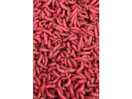 vyr 577 cerv cerveny 23 800