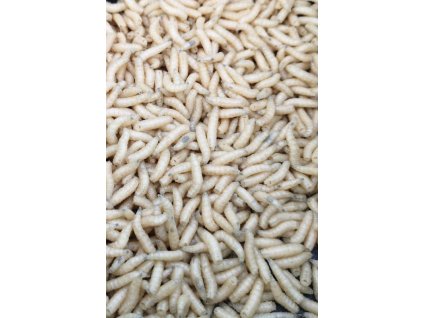 vyr 590 cerv bily1 23 800