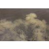 nikl boilie economic feed rape cloud (9)