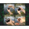zfish krajec bait splitter (4)