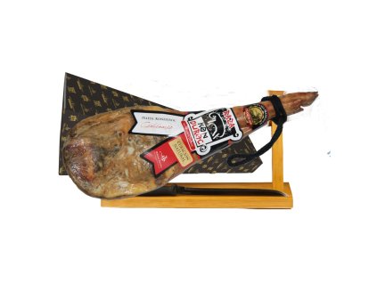 1e011a1a 5a9b 4540 90da 3ca2a6a11654