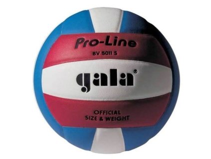 Volejbalový míč Gala Pro-Line BV 5011 S