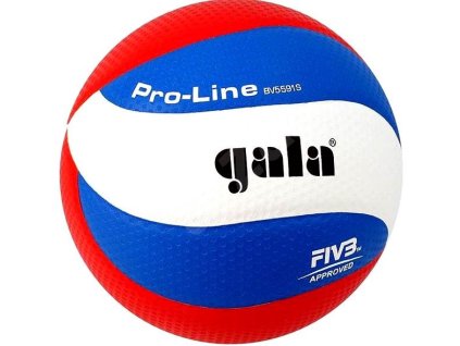 Volejbalový míč Gala Pro Line BV5591