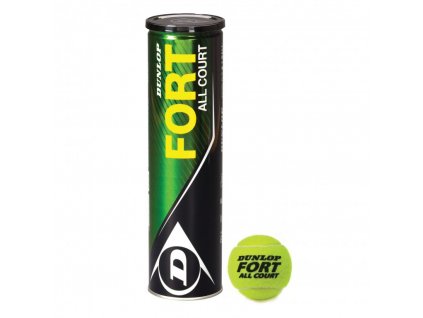 Tenisové míčky Dunlop Fort All 4 ks