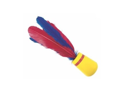 indiaca