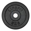 Kotouč Lifefit 5kg, kovový, pro 30mm tyč