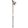 Hole Nordic Walking Vipole VARIO CLICK-IN Splash