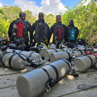 Potápění 🤿 je vstupenkou do úplně nového světa. Nejen, že můžete objevovat krásy korálových útesů🪸 a barevných rybiček🐠,...