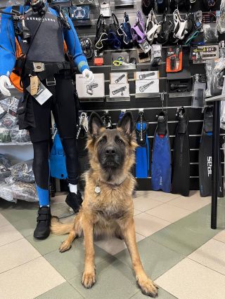 S výběrem potápěčského vybavení vám dnes ráda poradí taky Kesinka. Stavte se.🩵 #diving #potapeni #znojmo