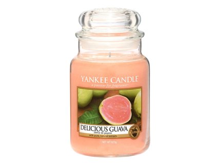 Yankee Candle Lahodná kvajáva, 623 g classic velký