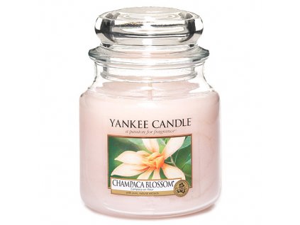 Yankee Candle Květ magnólie champaca, 410 g classic střední