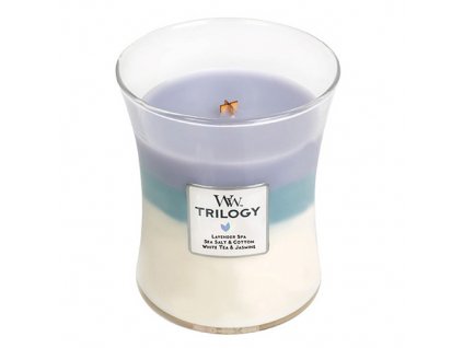 Svíčka Trilogy WoodWick Uklidňující zátiší, 275 g