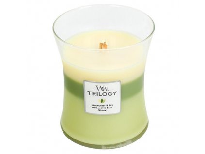 Svíčka Trilogy WoodWick Zelená oáza, 275 g