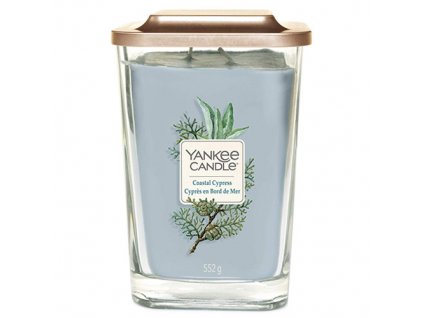 Yankee Candle Pobřežní cypřiš, 552 g elevation velký