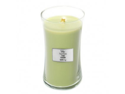 Svíčka Woodwick Kapradina, 609.5 g