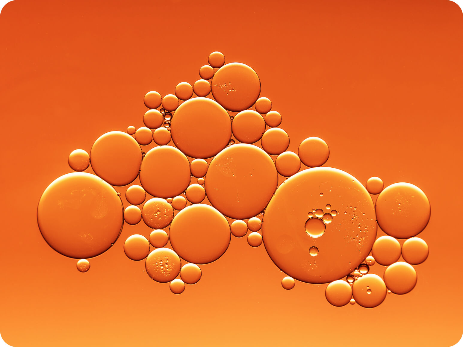 How do terpenes work on the human body?