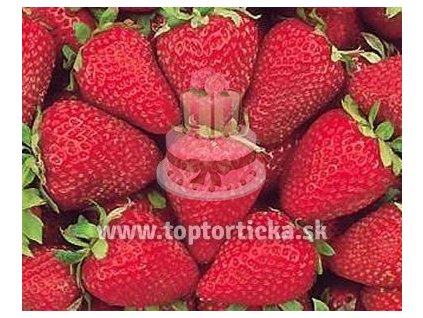 Aróma Jahoda záhradná 100g