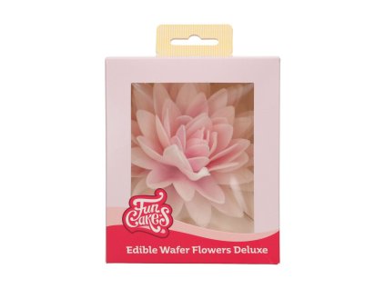 FunCakes2025 F53780 FunCakes Peony Pink Ombre Large 1 jpg