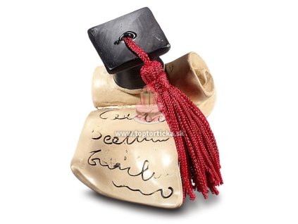 Soška na promócie: promočná čiapka s diplomom 2