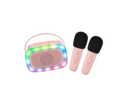 lalar karatwo wlights rose bluetooth karaoke party set 2 mikrofony rose 01 2000x2000 11zon