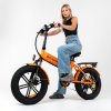 Bicicletă electrică ENGWE EP-2 PRO-2022