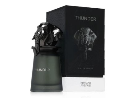 French Avenue Thunder pánska 100ml EDP