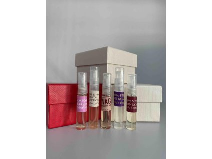 486818379 1333882884363377 9215068848384887079 n