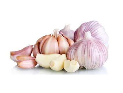 %7B03E86B4B 806F 4445 9448 2A9A1582F10F%7D M