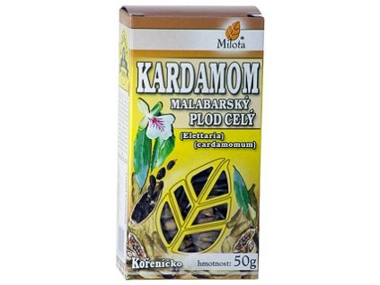 %7B7391796C 3B32 4A7E 8CAD E6C2867FC481%7D M