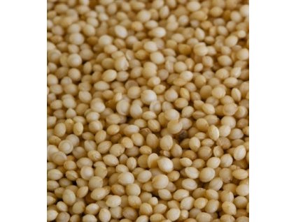 %7B6ED99F71 F00E 4A0C A567 AA31E866325B%7D M