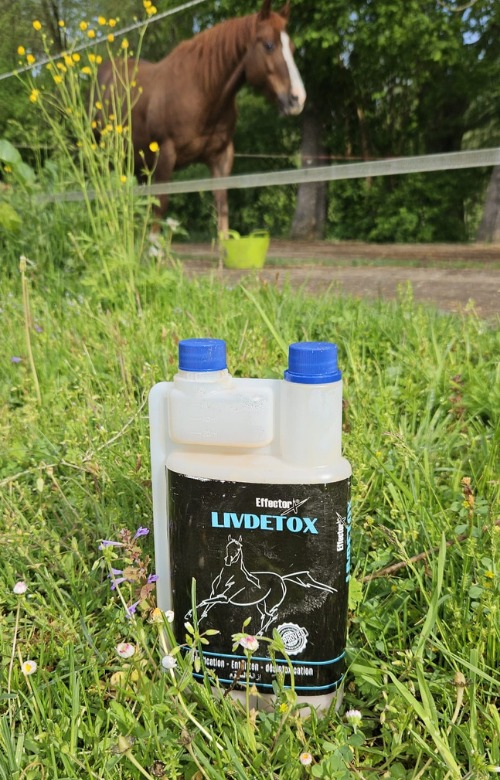 Livdetox