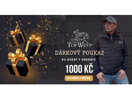 DPM 1000 WEB