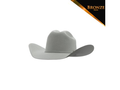 Silver Mist Bronze 1