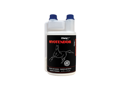 myotendor