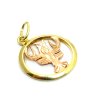 Zlatý přívěsek 0.80g - rak