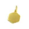 Zlatý přívěsek 1.00g