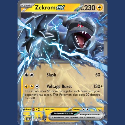Zekrom EX BLK 034 49 (1)