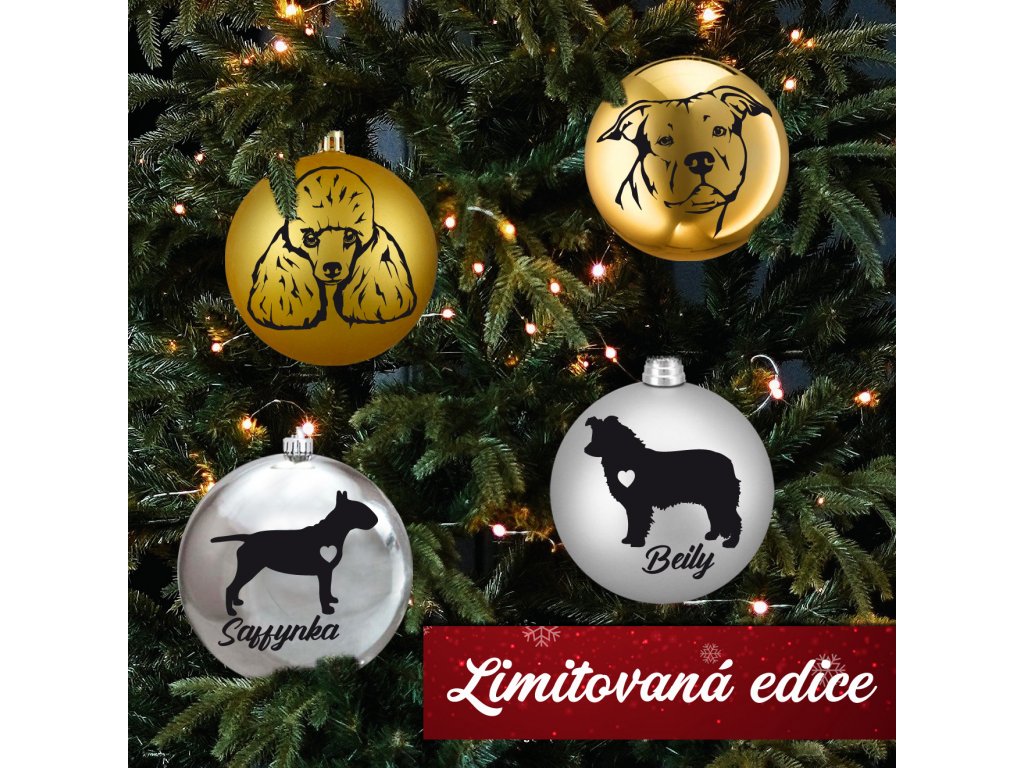 Vánoční ozdoby s Vaším miláčkem.