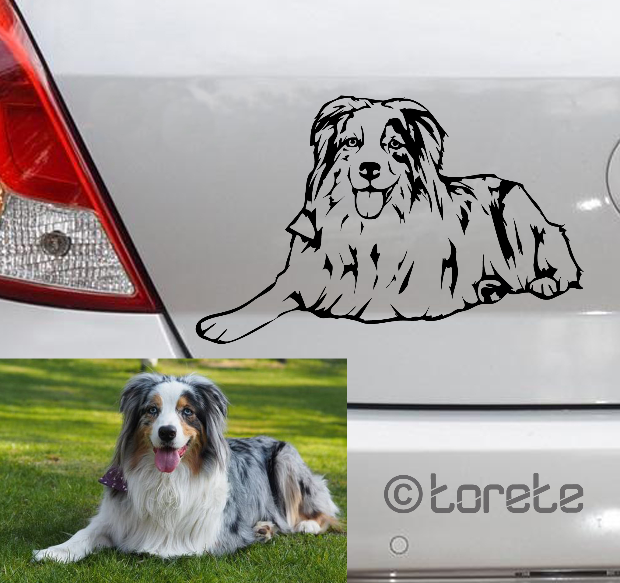 Einige Beispiele unsere Arbeit