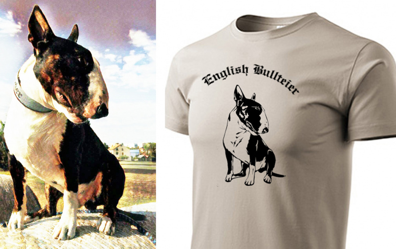 Bügelfolie nach ihrem Foto. Neu im Sortiment.